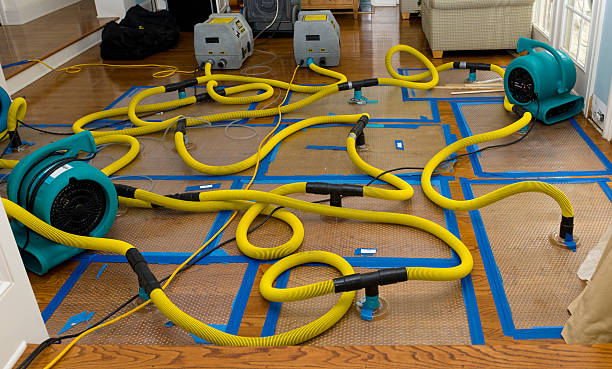 Professional Crawl Space Water Removal technician working in Ludlow, CA